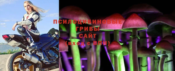 apvp Алексеевка