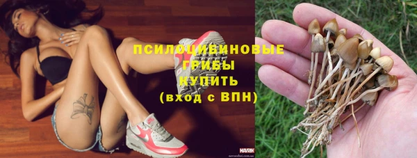 apvp Алексеевка