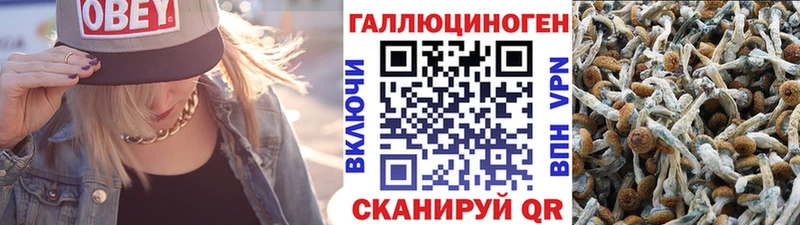 Псилоцибиновые грибы Psilocybine cubensis  купить закладку  Оса 